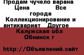 Продам чучело варана › Цена ­ 15 000 - Все города Коллекционирование и антиквариат » Другое   . Калужская обл.,Обнинск г.